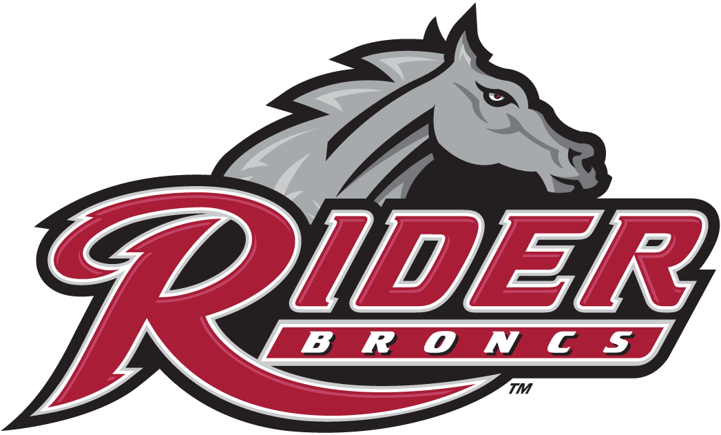 Rider Broncs decals